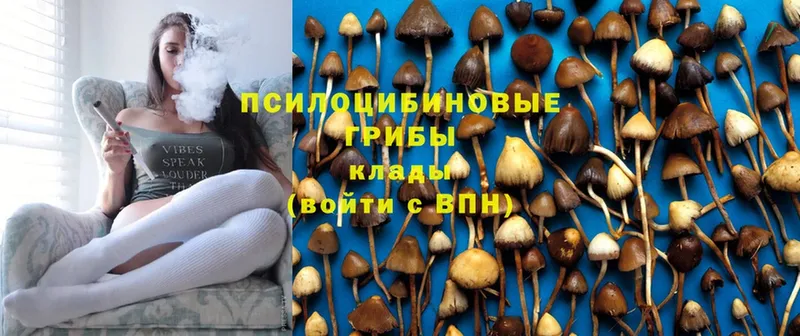 Псилоцибиновые грибы мухоморы  Нововоронеж 